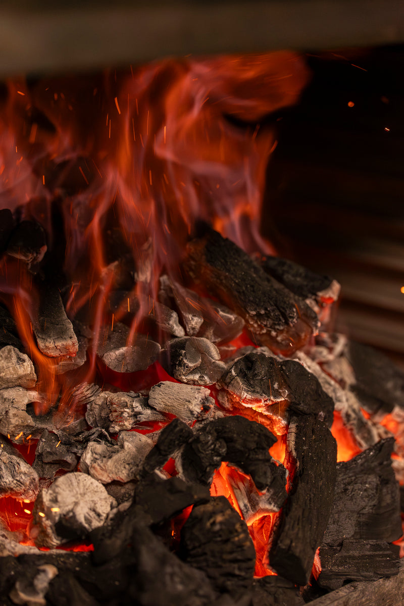 Brasa y fuego en la cocina